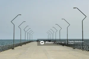 8F3qYZvEuDrr1MC7TMrFyc56Q2IU8kYEWu7jPHJT_1200