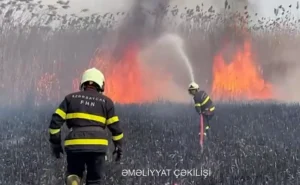 nSwNTLyuTATM5e3aT98uZ7YZHaKmaZkbgvt96DbB_1200