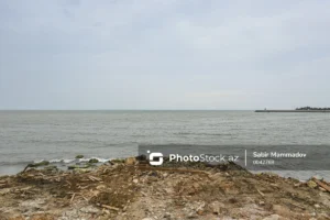 2t1goWxjStb6mIQRcdDmtGzpwu1J4q7aC8owTTXo_1200