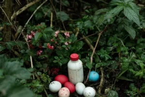 FlZ347wWi7fJ6rHODzPnHMnCi7cAt5J82hs8uhx2_1200