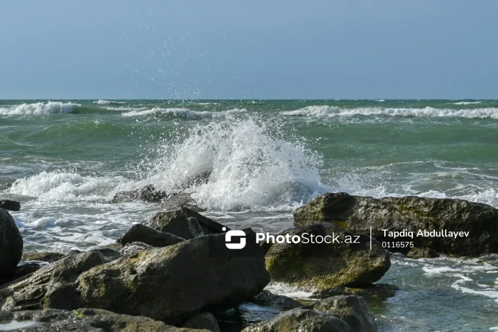 amAljotKeVc4J50gQ1iKnXbc0V7oKkCENwjpgJEa_1200