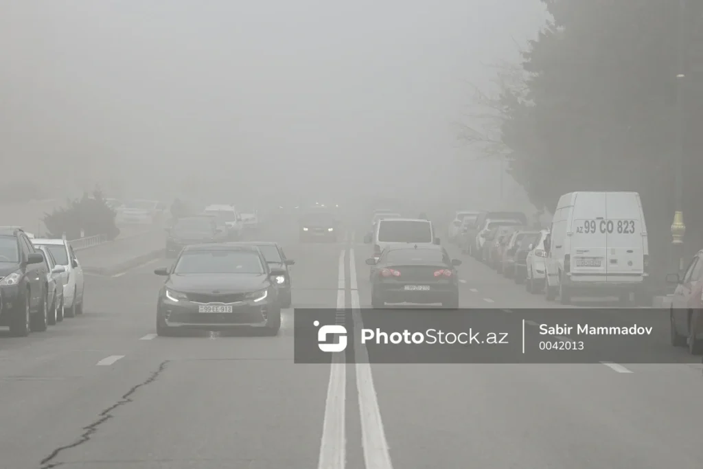 v5lreHCnL5nCzr6HQqkbO7l6AMMUKIePcwp7l8z1_1200