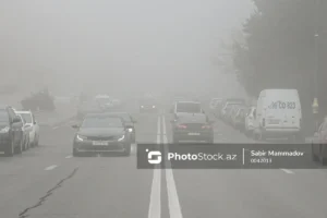 v5lreHCnL5nCzr6HQqkbO7l6AMMUKIePcwp7l8z1_1200