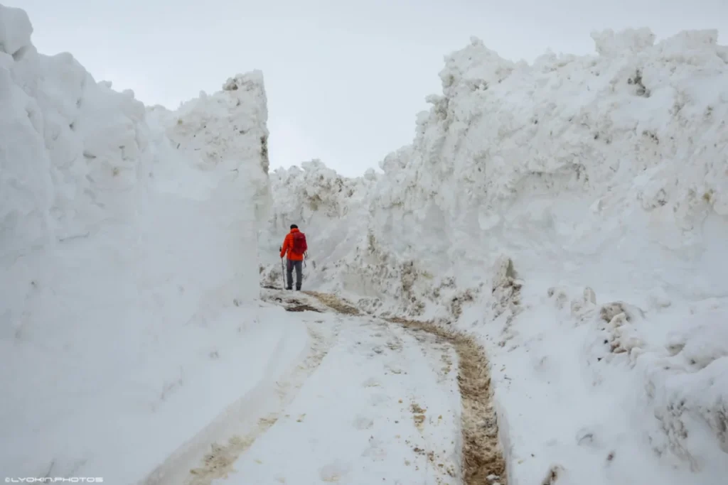 wqW2pgcEhDV2RtowyB37OTloc0UAc3Dyu5hVBVTE_1200